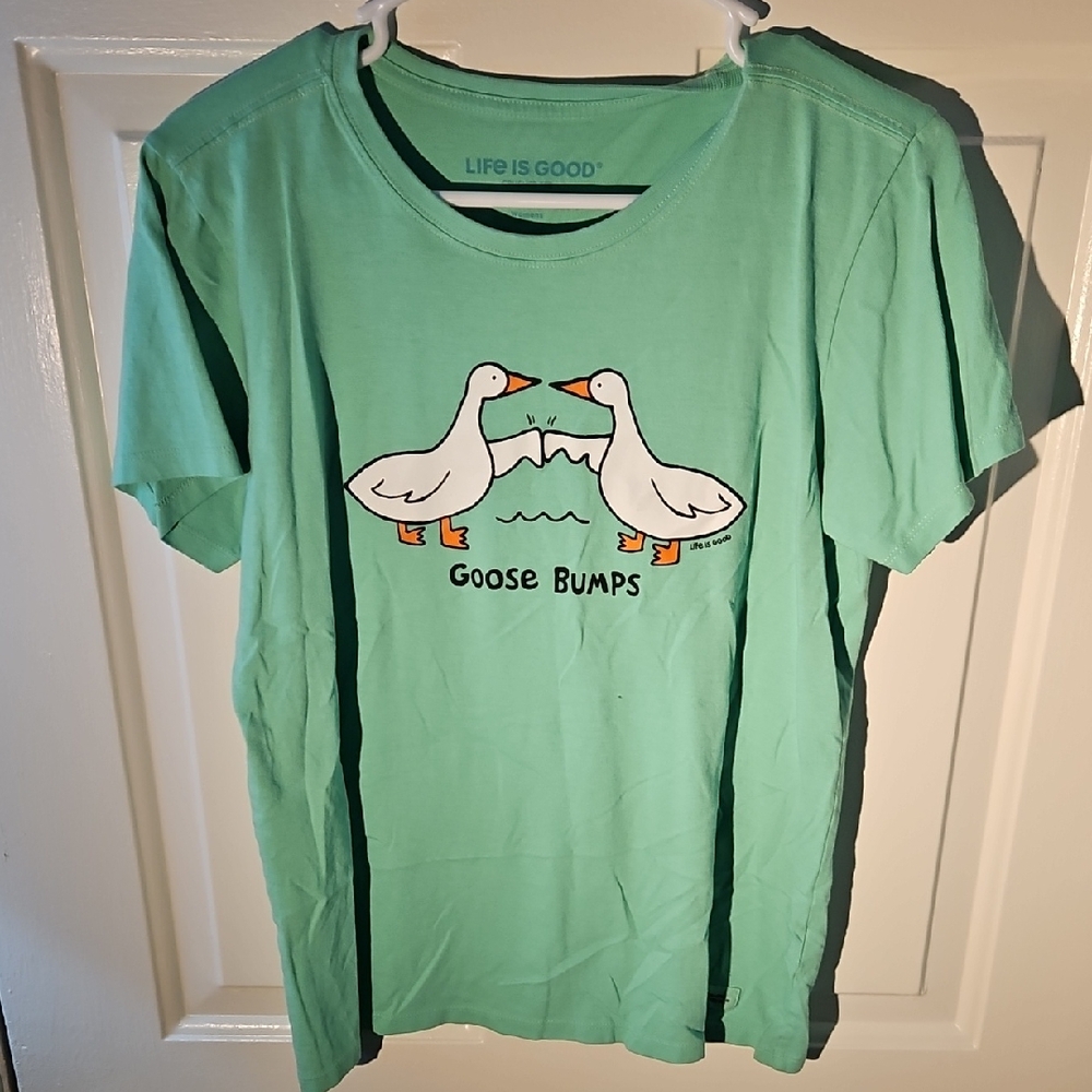 Life Is Good Aqua Goose Bumps Tee